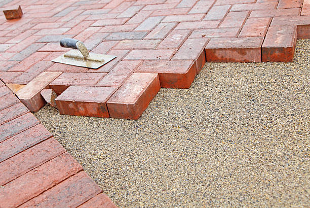 Best Driveway Paving Contractor  in Scotland Neck, NC